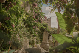 Robert Blair Photography Dalmation