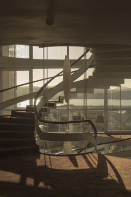 Robert Blair Photography Dalmation