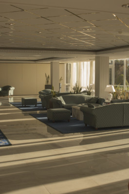 Robert Blair Photography Dalmation