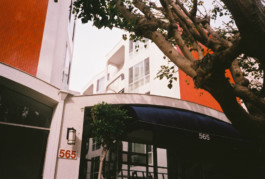 LA 35mm Still Photo 1 Robert Blair