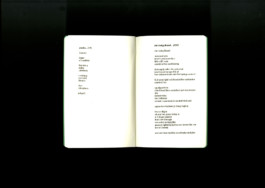 Robert Blair Design EE Cummings Iphone Poem