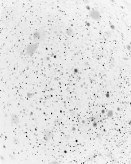 Snow In AZ, Photographed by Robert Blair