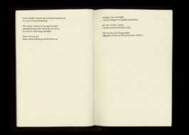 Standard Written English by Anika Jade, Designed by Robert Blair, Published by TXTBooks