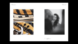 Converse Made by You Book Robert Blair