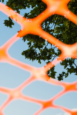 Robert Blair Photography neighborhood