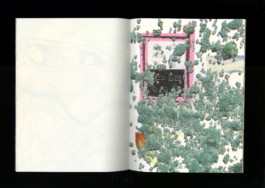 Boxer by Robert Blair Published by TXTbooks