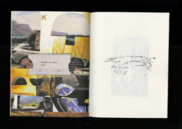 Boxer by Robert Blair Published by TXTbooks